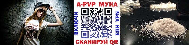 площадка состав  Камбарка  APVP СК 