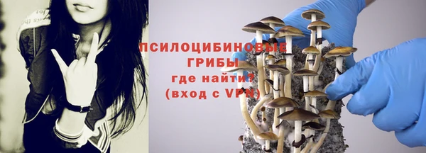 МДПВ Алзамай