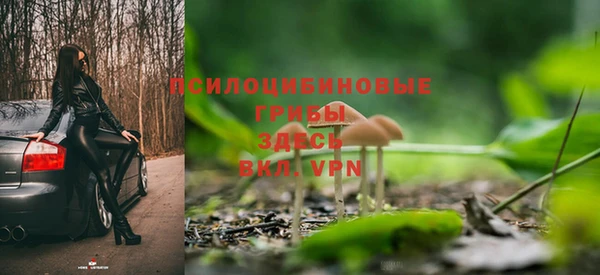 мескалин Алексин
