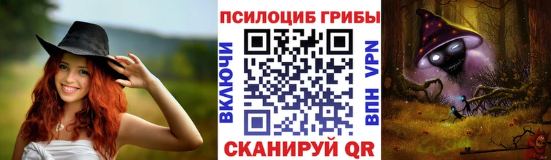 наркошоп  Камбарка  Галлюциногенные грибы прущие грибы 